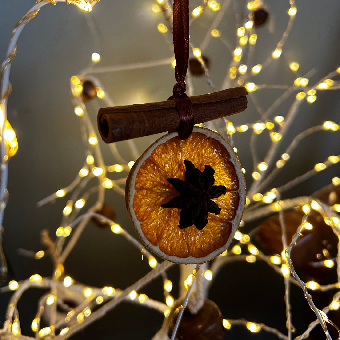 Handmade Dried Citrus Ornaments | Set of 2