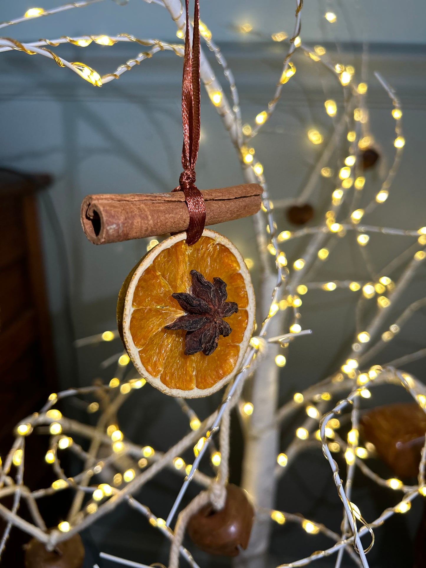 Handmade Dried Citrus Ornaments | Set of 2