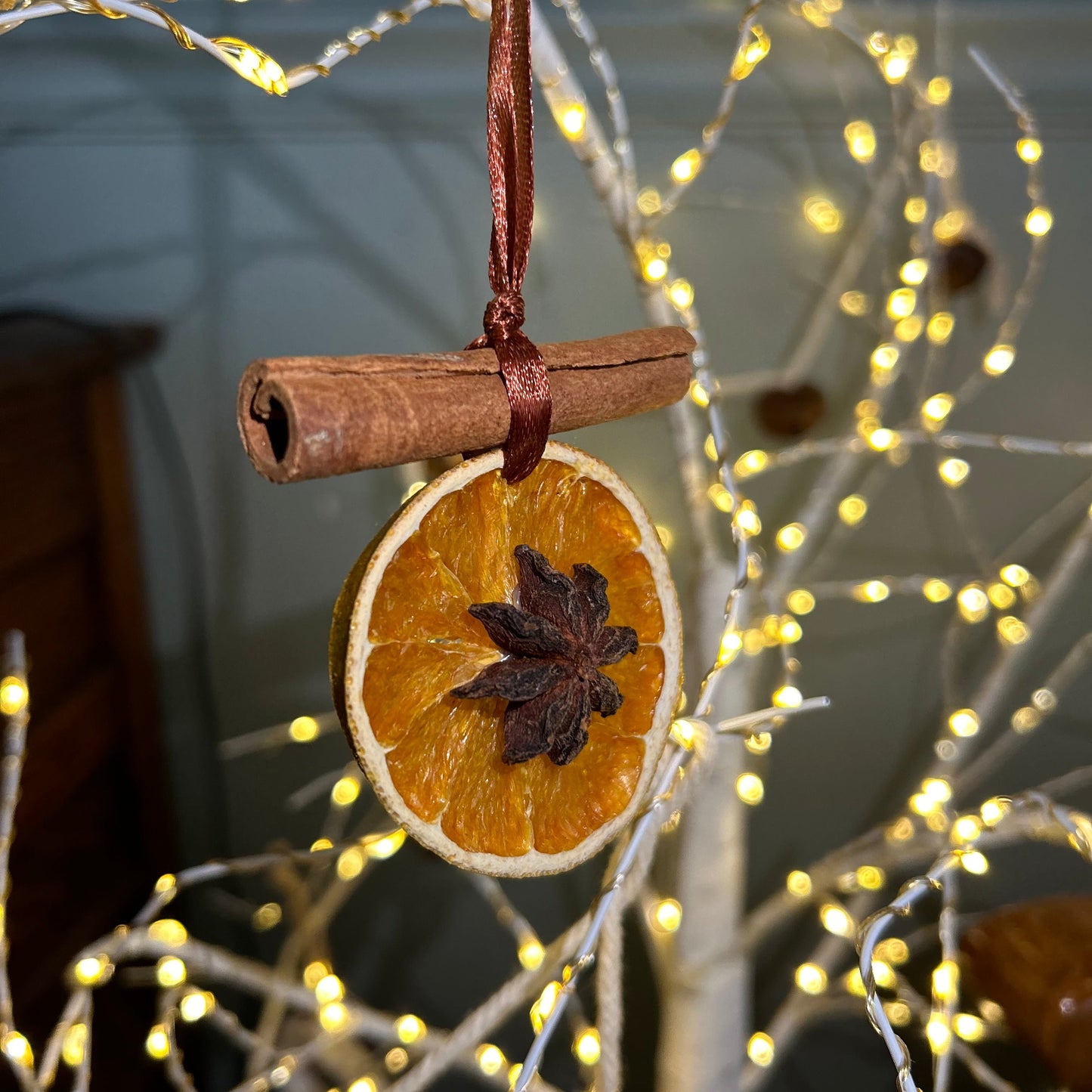 Handmade Dried Citrus Ornaments | Set of 2