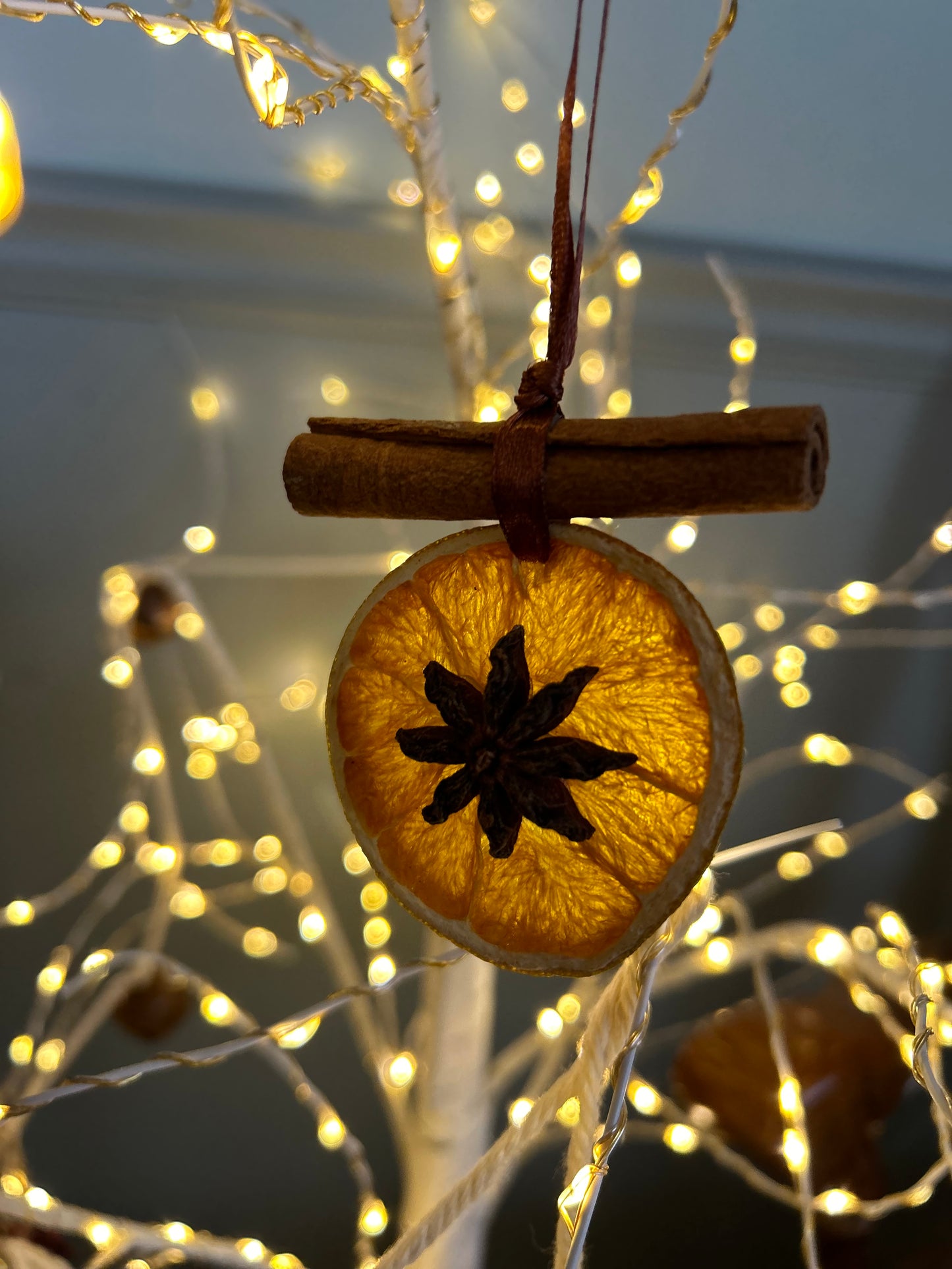 Handmade Dried Citrus Ornaments | Set of 2