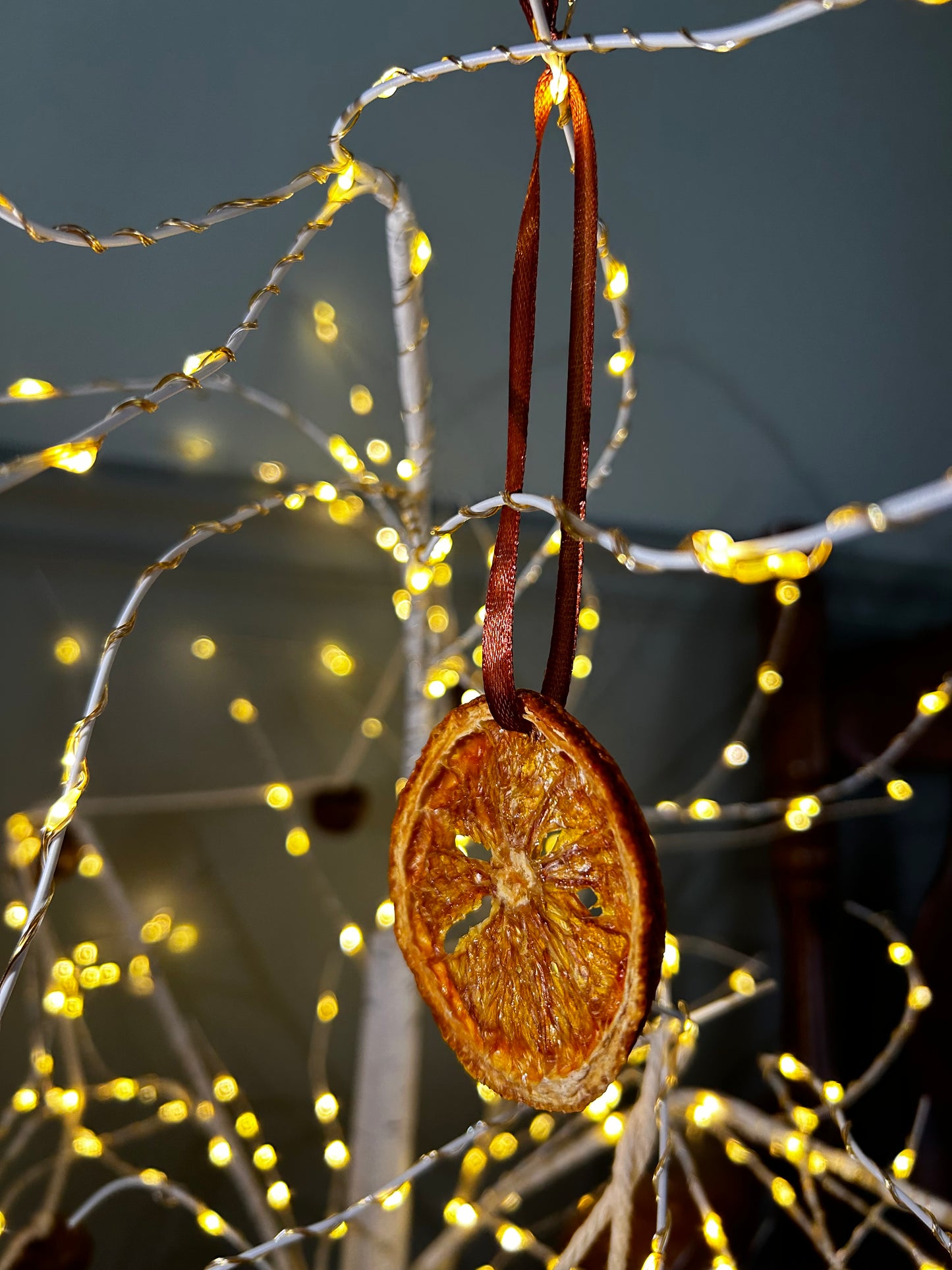 Handmade Dried Citrus Ornaments | Set of 2