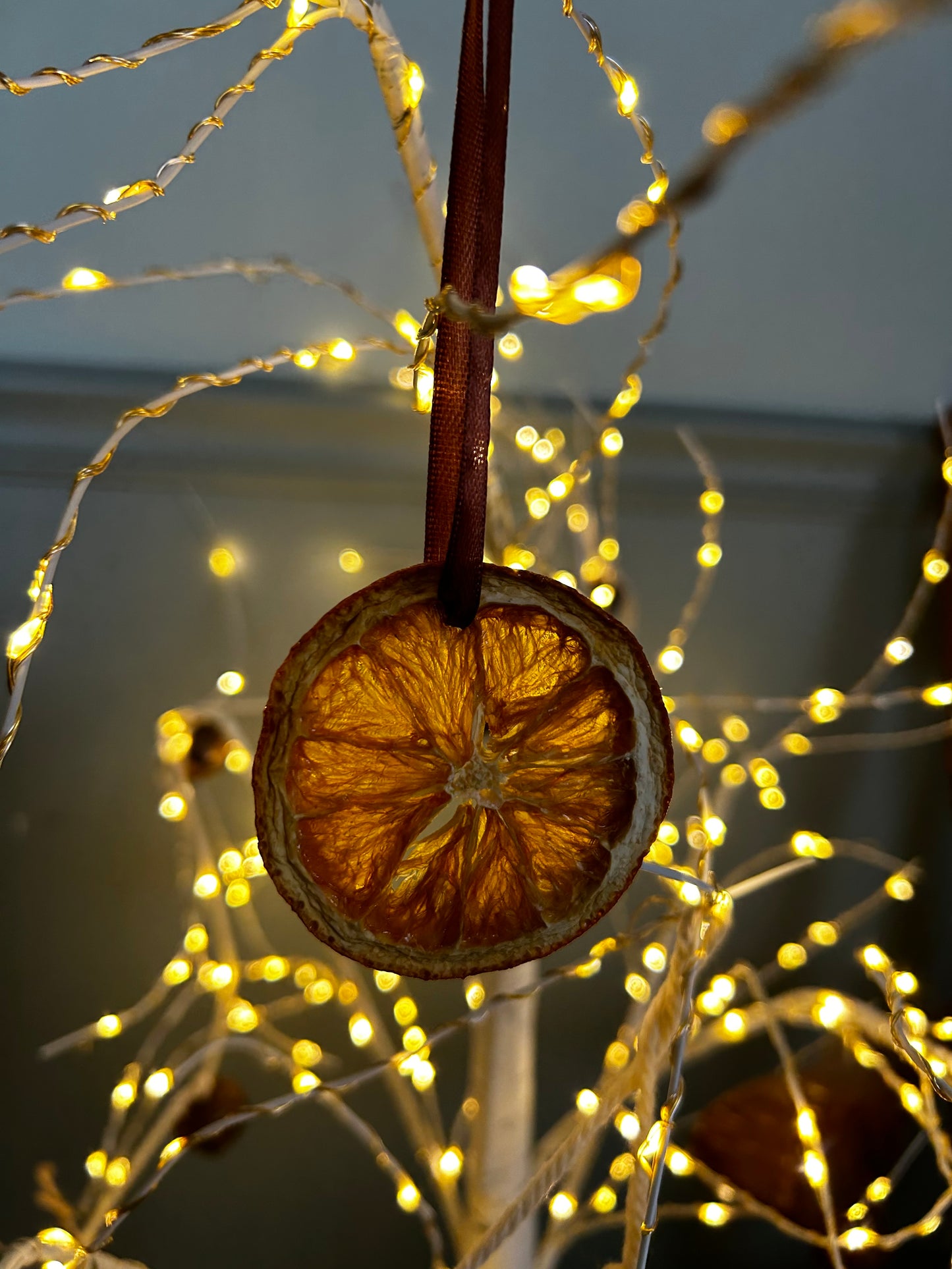 Handmade Dried Citrus Ornaments | Set of 2