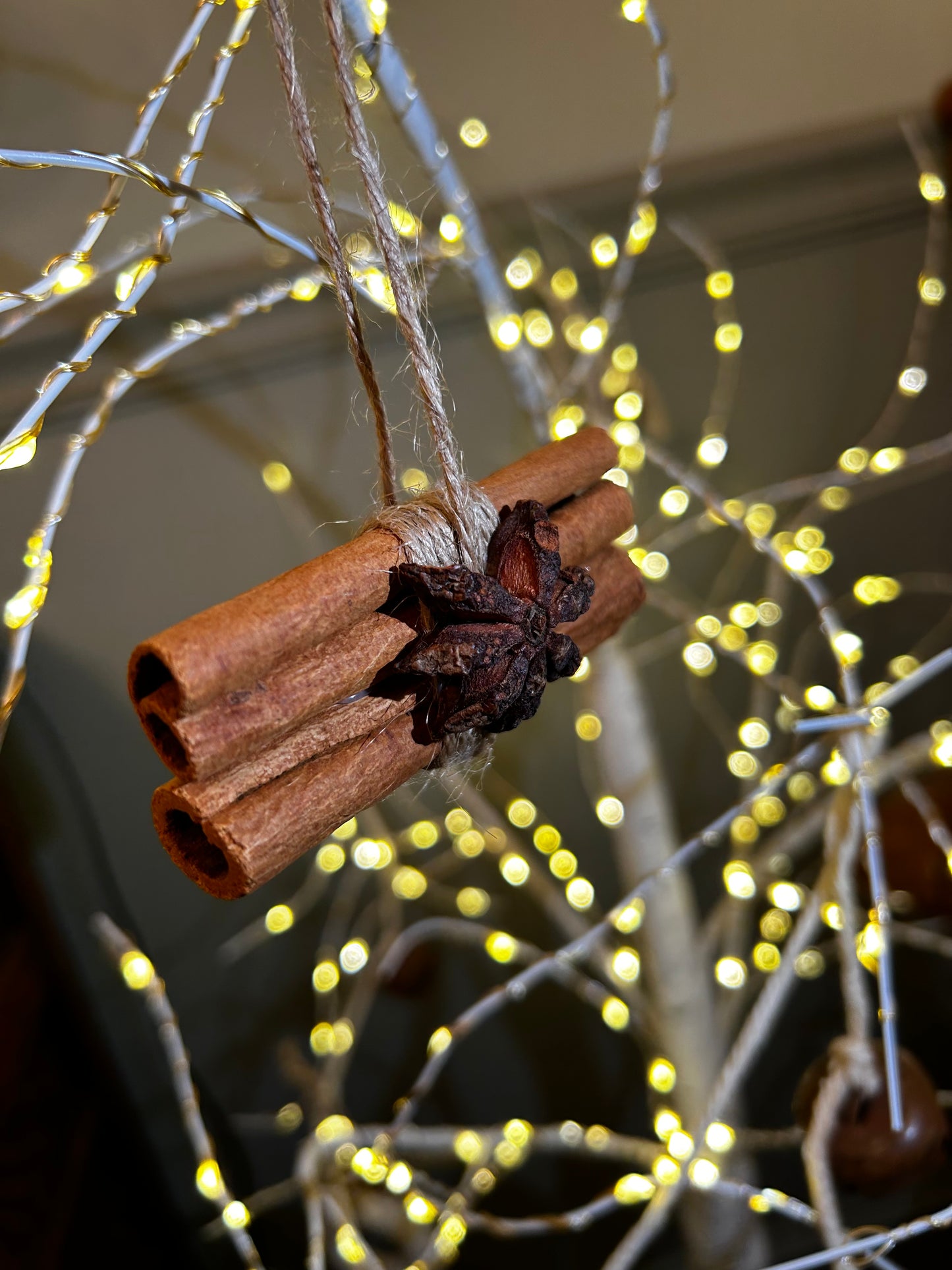Handmade Cinnamon Sticks & Star Anise Ornaments | Set of 2