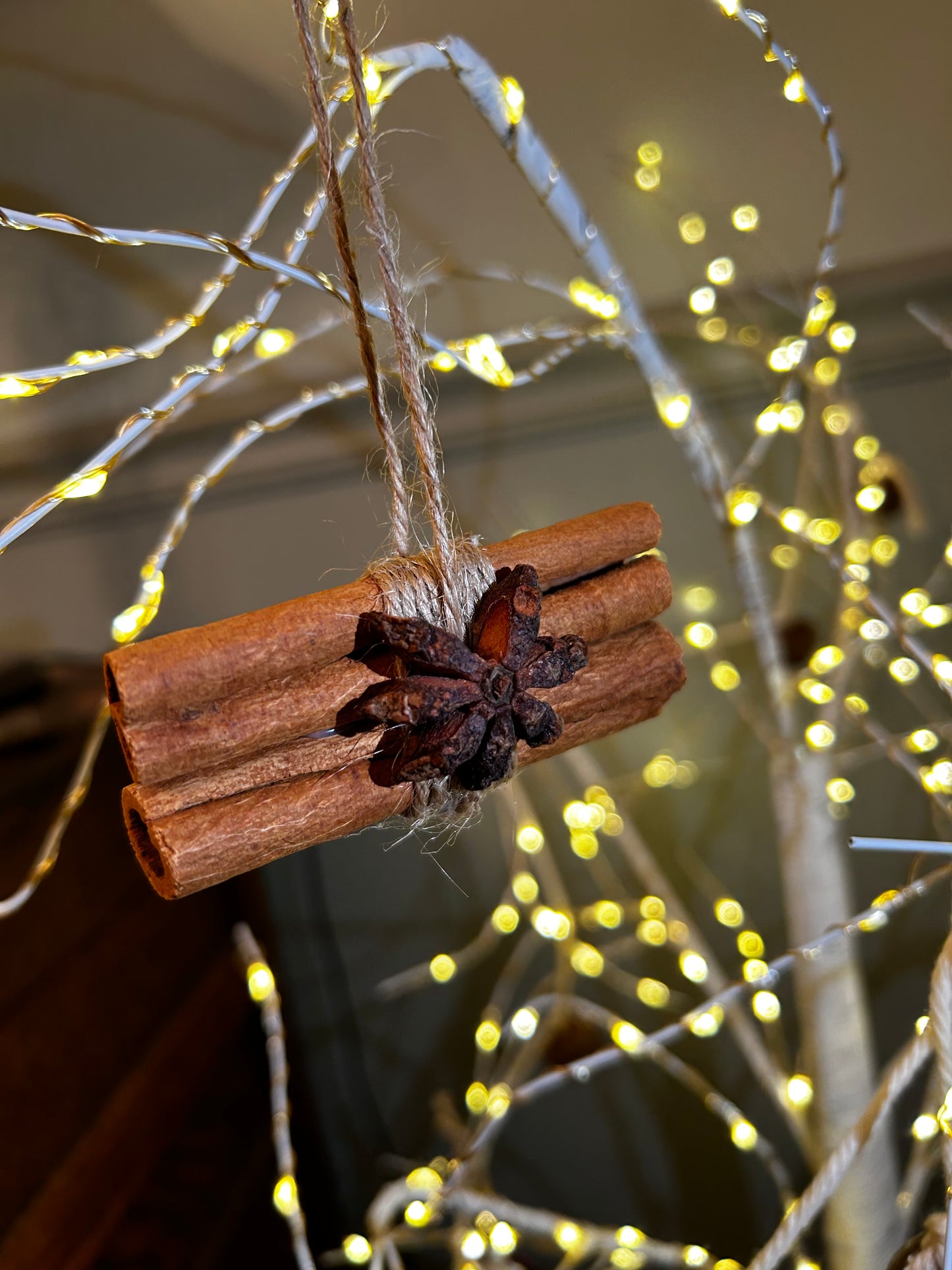 Handmade Cinnamon Sticks & Star Anise Ornaments | Set of 2