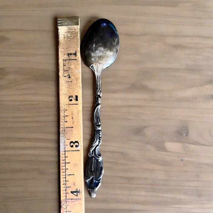 Vintage Silver Plate Demitasse Spoon Set