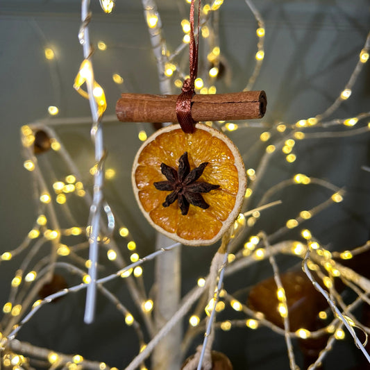 Handmade Dried Citrus Ornaments | Set of 2