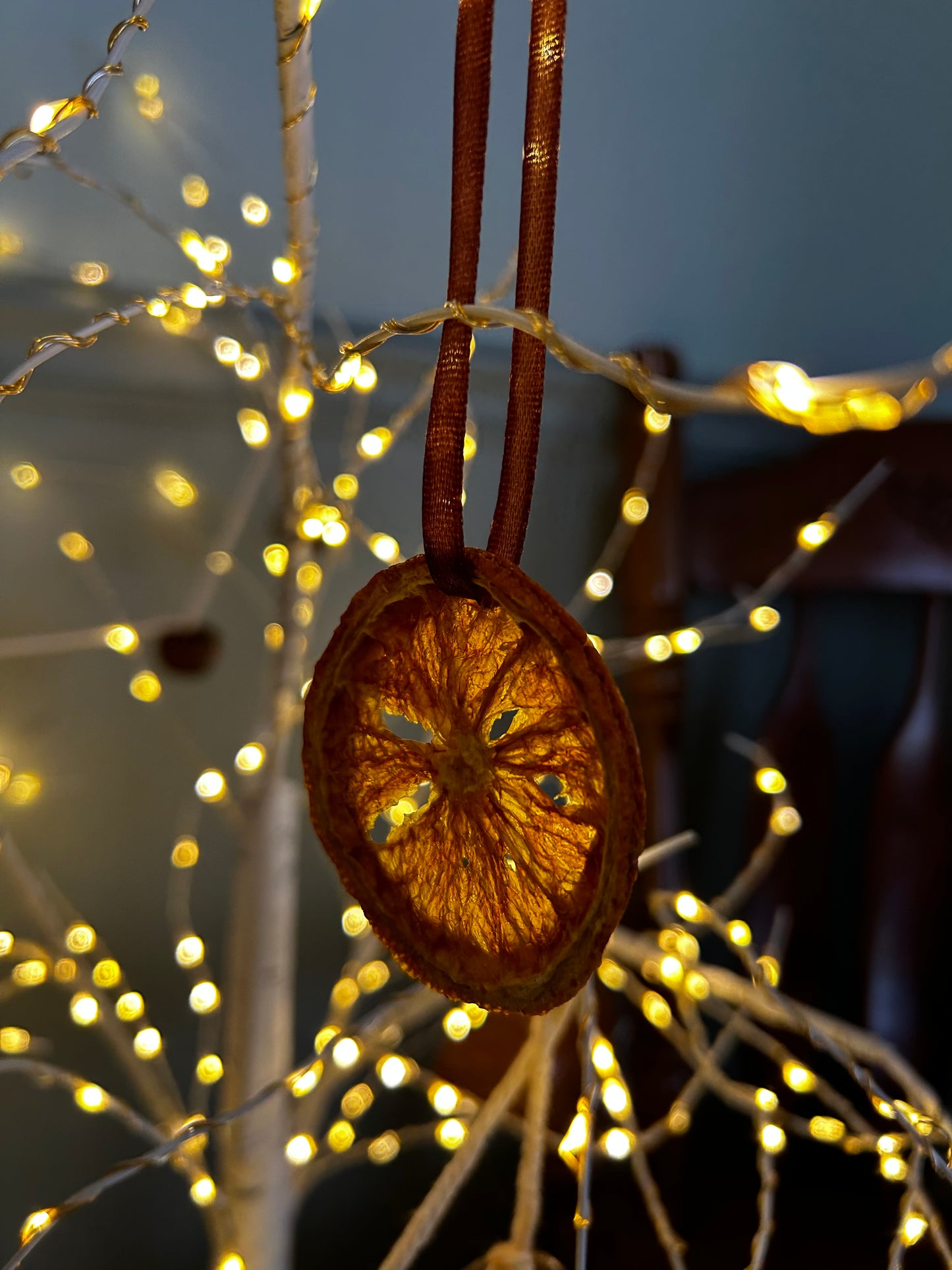 Handmade Dried Citrus Ornaments | Set of 2