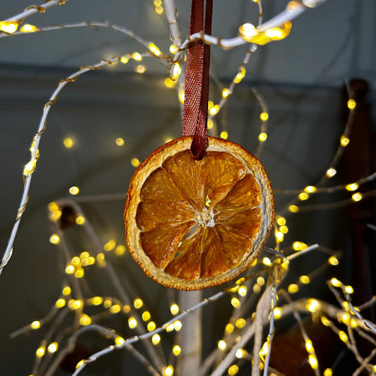 Handmade Dried Citrus Ornaments | Set of 2