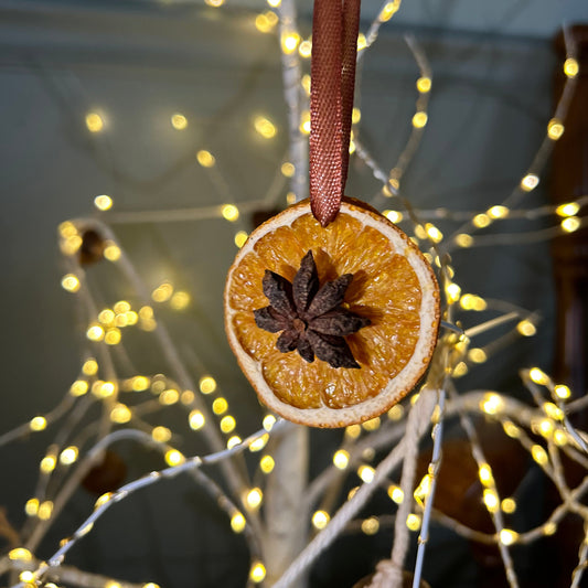 Handmade Dried Citrus Ornaments | Set of 2