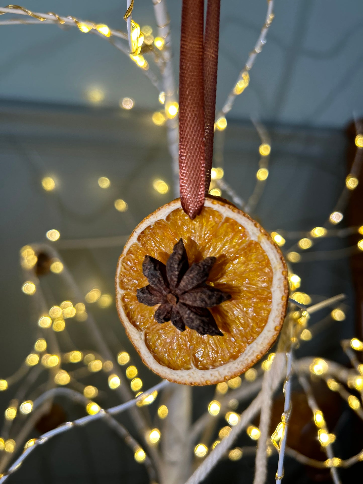 Handmade Dried Citrus Ornaments | Set of 2