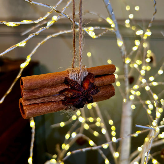 Handmade Cinnamon Sticks & Star Anise Ornaments | Set of 2