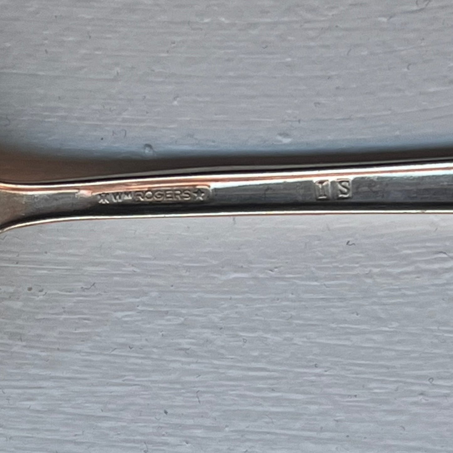 Vintage Wm Rogers Silver Plate Tomato Server ~ Vintage Spoon